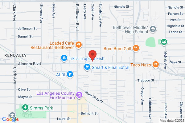 Bellflower Collision