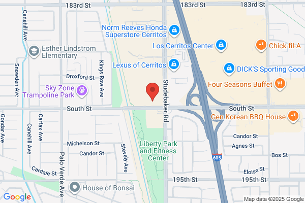 Lew Dina DDS MD