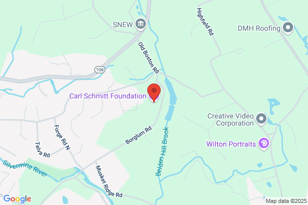 Carl Schmitt Foundation
