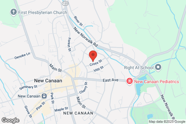 NAPA Auto Parts - New Canaan Auto Parts Inc