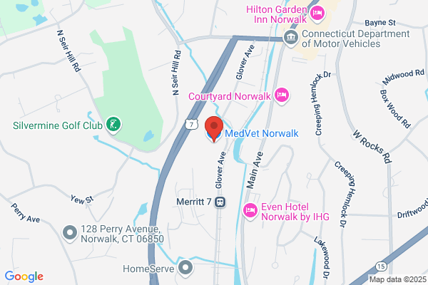 MedVet Norwalk