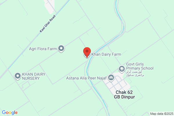 One Stop Khan's Dairy Llc