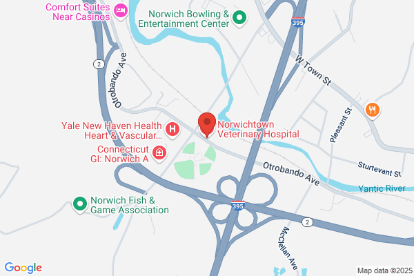 Norwichtown Veterinary Hospital