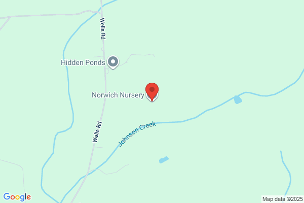 Norwich Nursery & Landscape Service