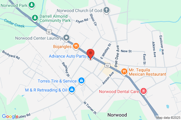 Advance Auto Parts