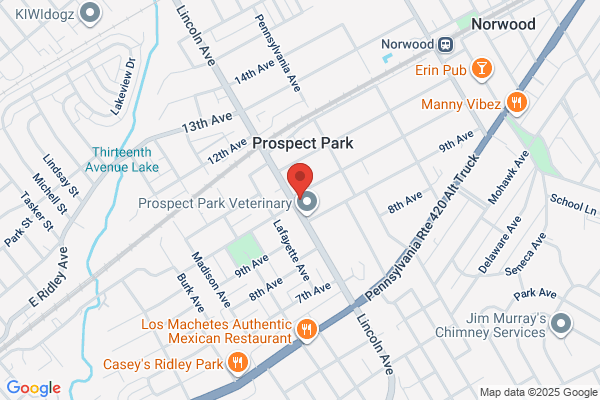 Prospect Park Cleaners