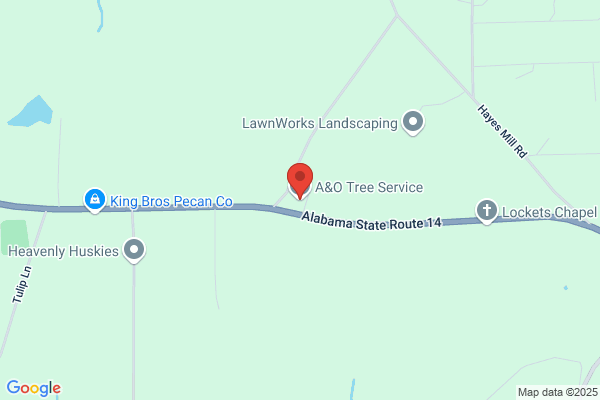 A&O Tree Service LLC