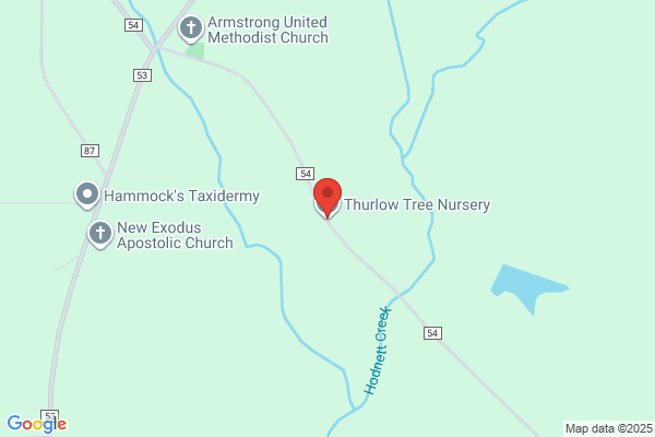Thurlow Tree Nursery