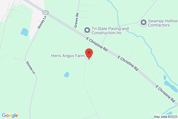 Herr Angus Farms