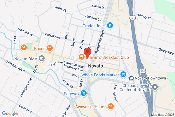 Euro Auto Service of Novato