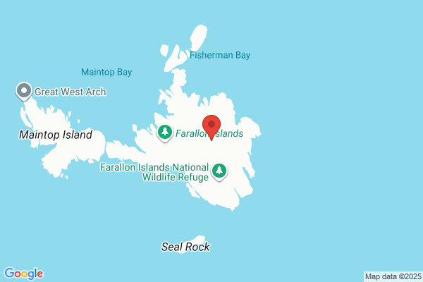 Farallon Co
