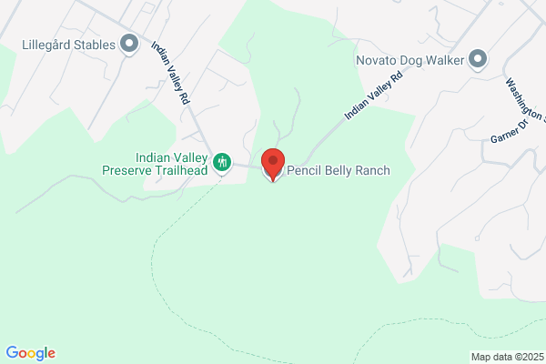 Pencil Belly Ranch