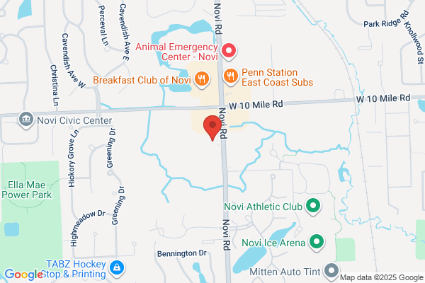 Novi Family Dentistry: Abir Faraj, DDS