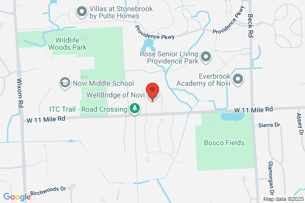 WellBridge of Novi