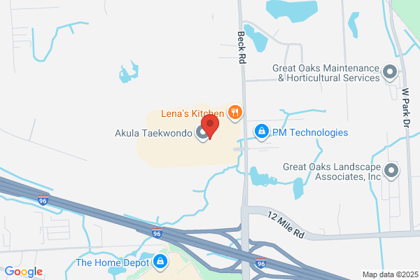 Tru-Motion Systems Inc