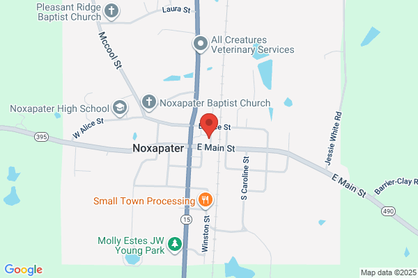 Noxapater Telephone Co, Repair Service