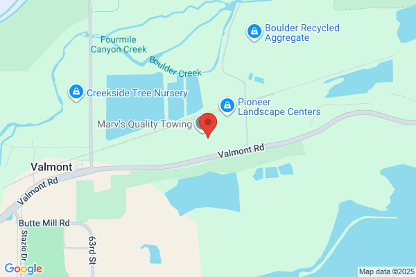 Back Mountain Tree Service