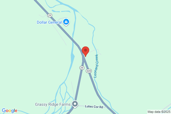 Creekside Animal Hospital