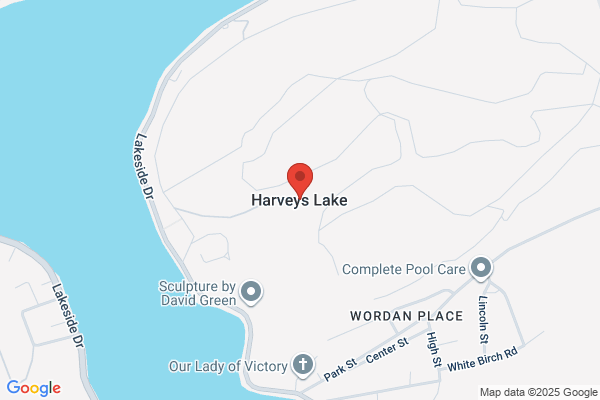 Harveys Lake Masonry