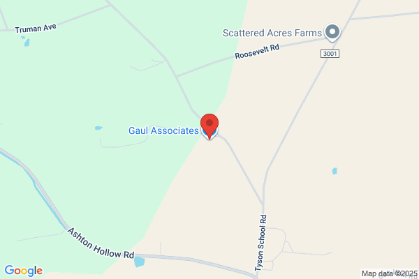 Gaul Associates