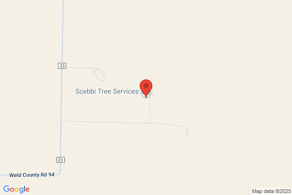 Scebbi Tree Services, LLC