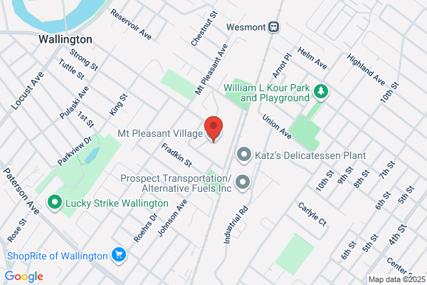 Mount Pleasant Village