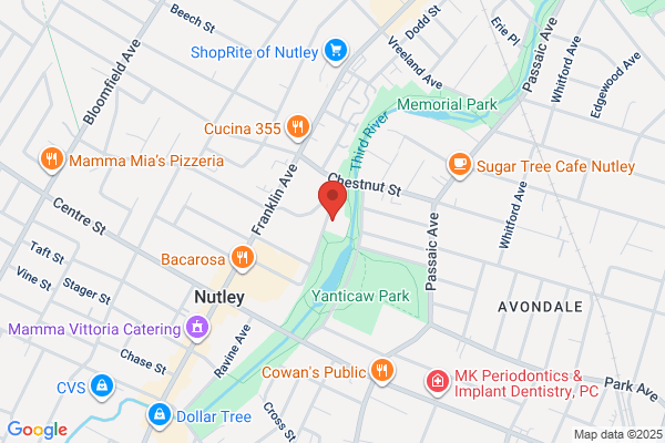 Community School In Nutley Inc