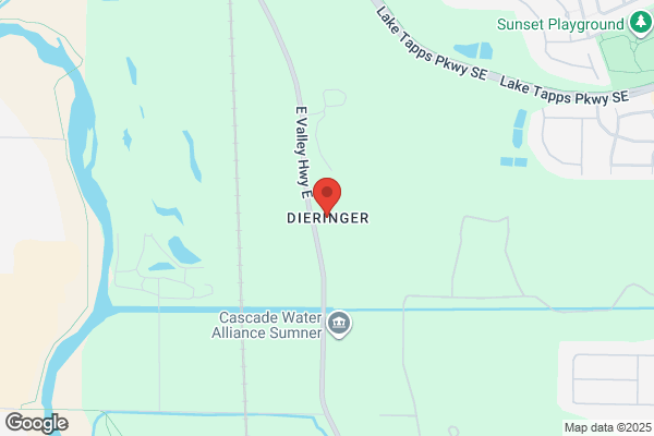 Dieringer Scot S