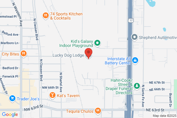 Lucky Dog Services