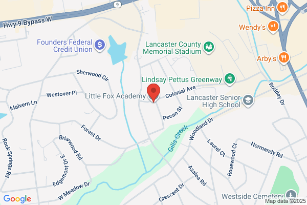 Little Foxes Learning Center