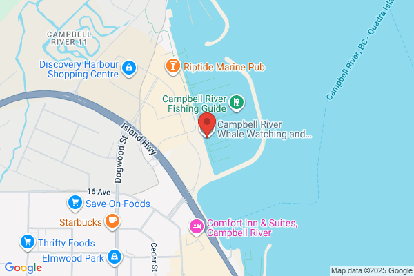 Campbell Cruises & Tours