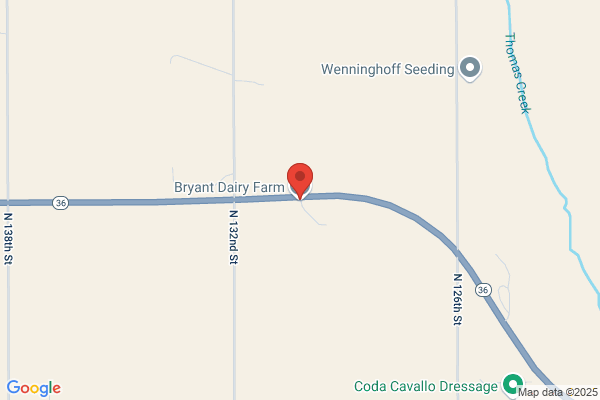 Camenzind Dairy Cattle