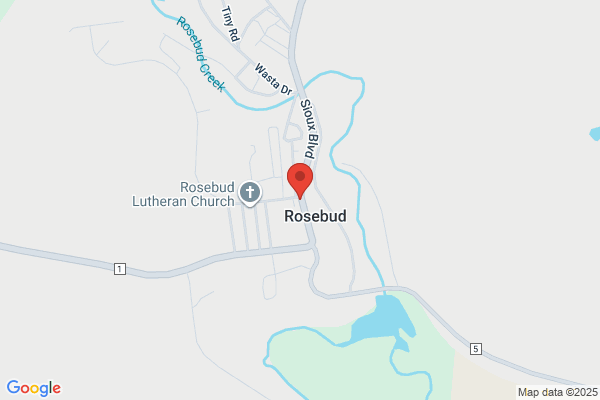 Rosebud & Co