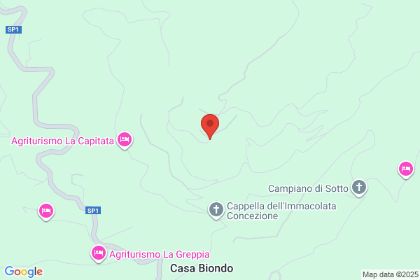 Castello David A