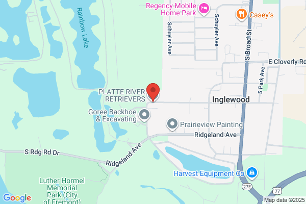 Golden Retriever Rescue In Nebraska