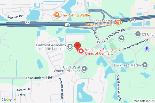 Waterford Lakes Acupuncture