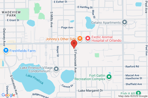 Osceola Gynecology