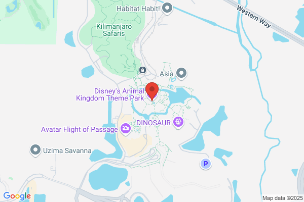 Animal Kingdom Theme Park Disneys