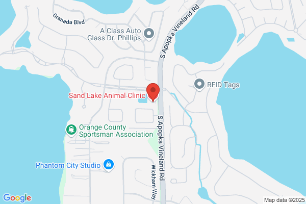 Sand Lake Animal Clinic