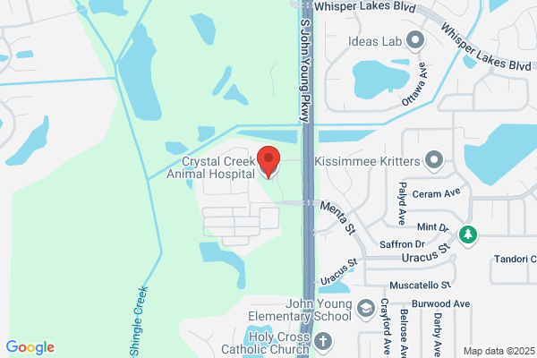Crystal Creek Animal Hospital