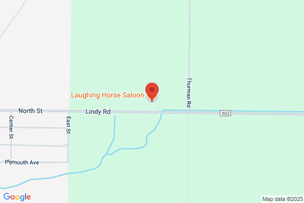 Betty's Laughing Horse Tavern