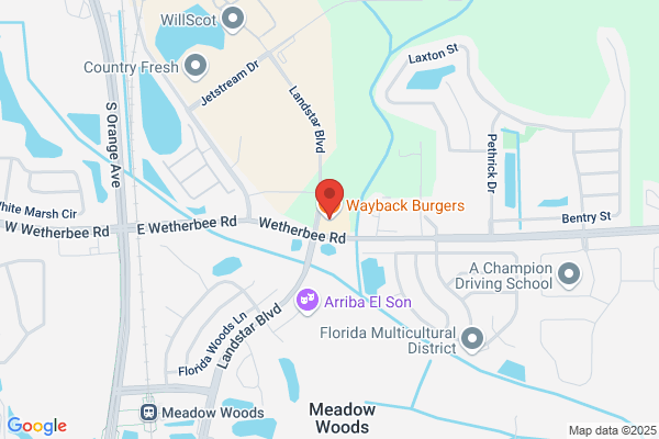 Wayback Burgers
