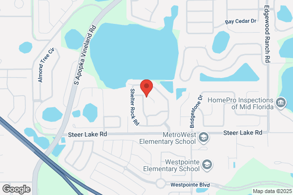 Macksride Orlando Town Car Service