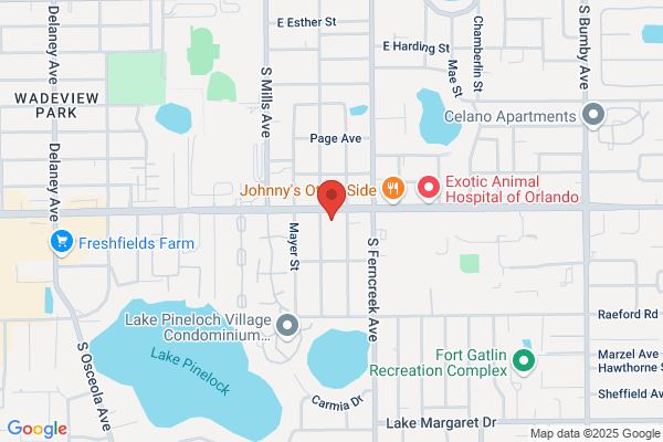 Gary Gibson Dental