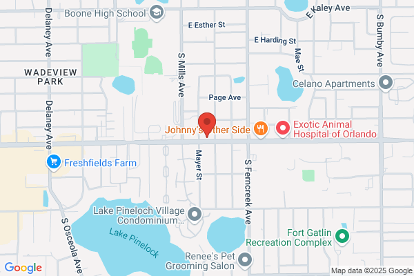Eyecare Professionals of Orlando