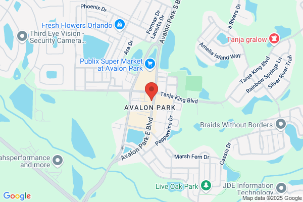 Championship Martial Arts - Avalon Park