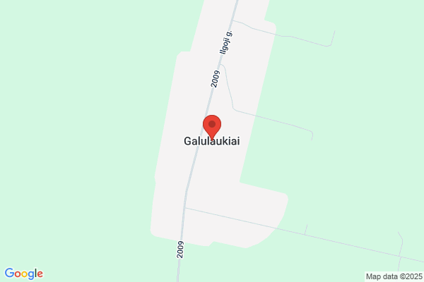 GaLuWi, Inc