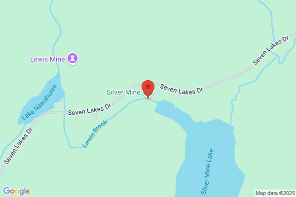 Silver Mine