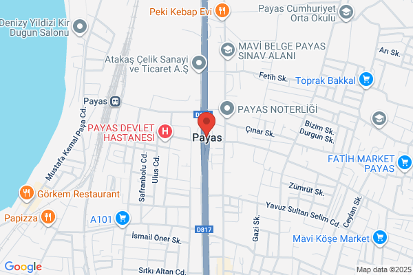 Payas, Payas & Payas LLP