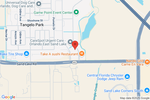 Tiffany Towncar Service of Orlando